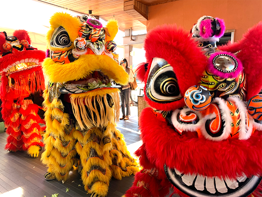 Lion Dance